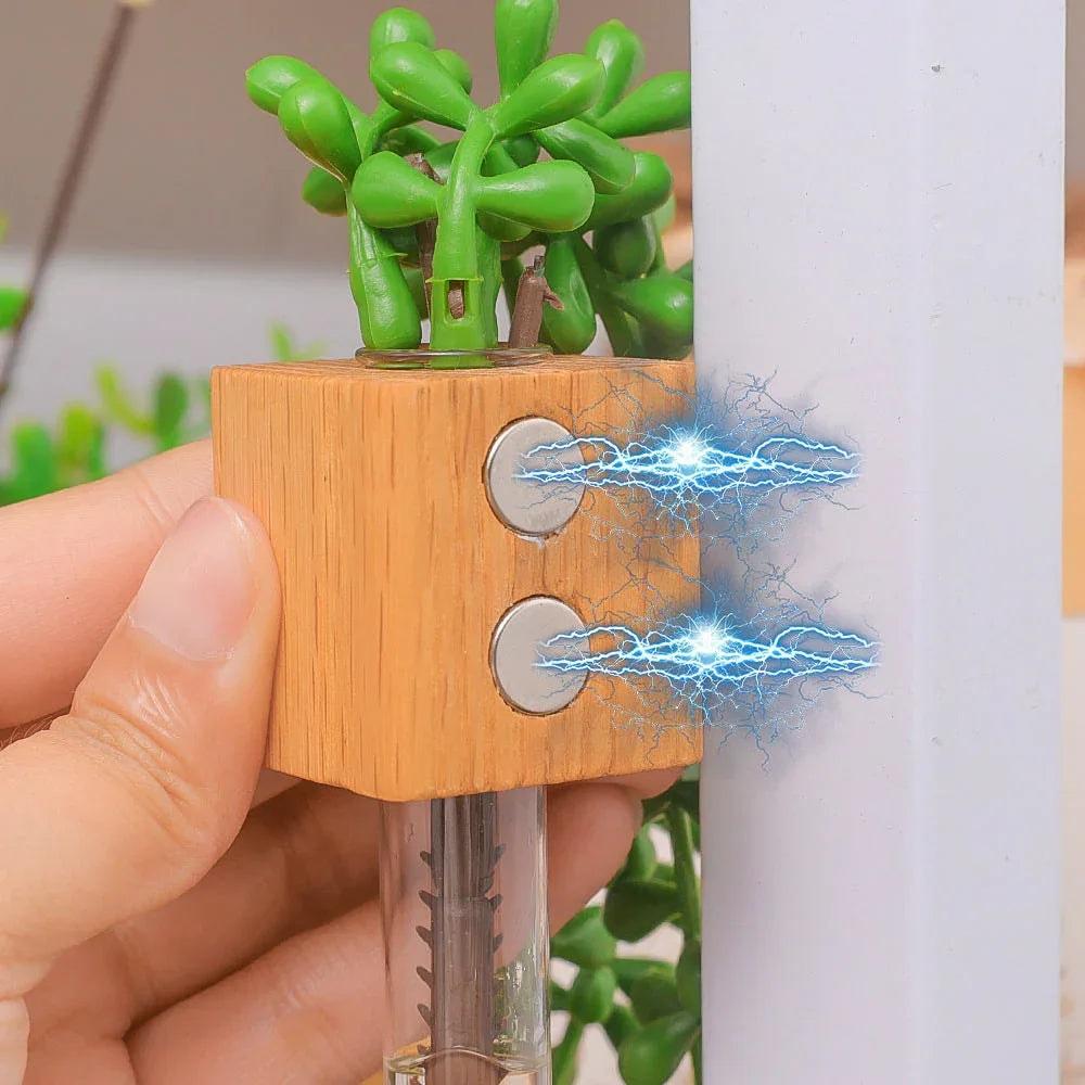 Flower Magnet - Khareedlo.com.pk